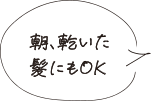 朝、乾いた髪にもOK