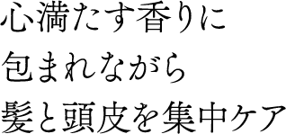 Sɕ܂Ȃ甯ƓWPA