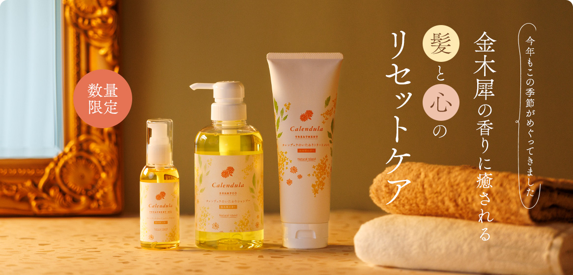 ؍҂̍ɖ锯ƐS̃ZbgPA