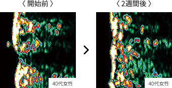 �g�p��̓R���[�Q�����x�����܂蓪��̒e�̓A�b�v