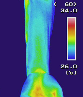 �X�̔����BUV�~�X�g��h�z�����r�̃T�[���O���t�B�[�B�\�ʉ��x���Ⴂ���Ƃ������F�ɂȂ��Ă���