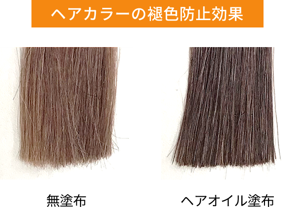 ヘアカラーキープ処方のイメージ図。オイルが髪をコーティングし、紫外線や熱などの乾燥ダメージから守って褪色を防ぎます。