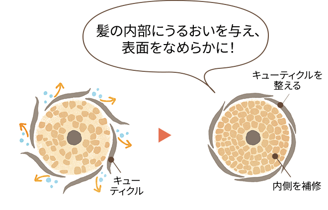 �p�T�������Ȕ��Ƃ��邨���̂��锯�̃L���[�e�B�N���̈Ⴂ�������C���X�g