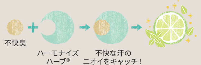 「ハーモナイズ(R)」が汗や皮脂などをすばやく取り込んで、爽やかな柑橘&ハーブの香りにチェンジします。