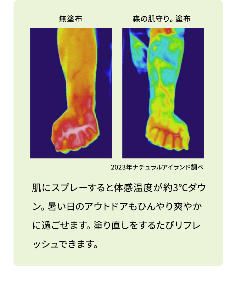 ɃXv[Ƒ̊x3_EB̃AEghAЂu₩ɉ߂܂Bh蒼邽уtbVł܂B