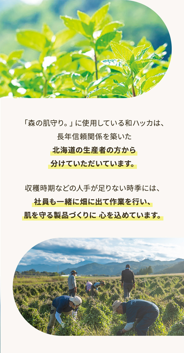 uX̔BvɎgpĂanbJ́ANM֌WzkC̐Y҂̕番ĂĂ܂B