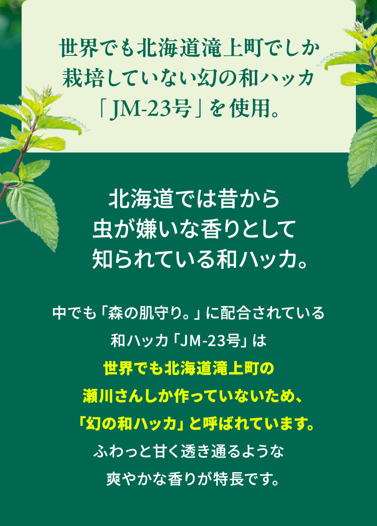 EłkC㒬ł͔|ĂȂ̘anbJuJM-23vgpB