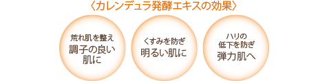 カレンデュラ発酵エキスの効果 荒れ肌を整え調子の良い肌に くすみを防ぎ明るい肌に ハリの低下を防ぎ弾力肌へ