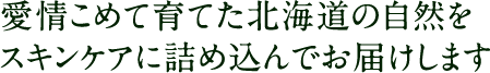ナチュラルアイランド