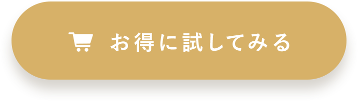 お得に試してみる