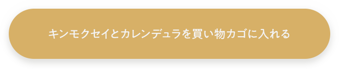 キンモクセイとカレンデュラを買い物カゴに入れる