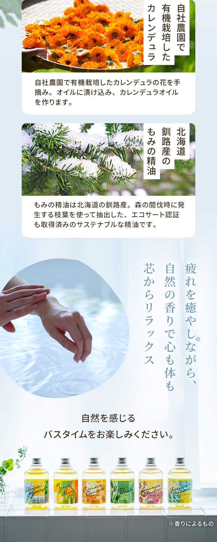 自社農園で有機栽培したカレンデュラ