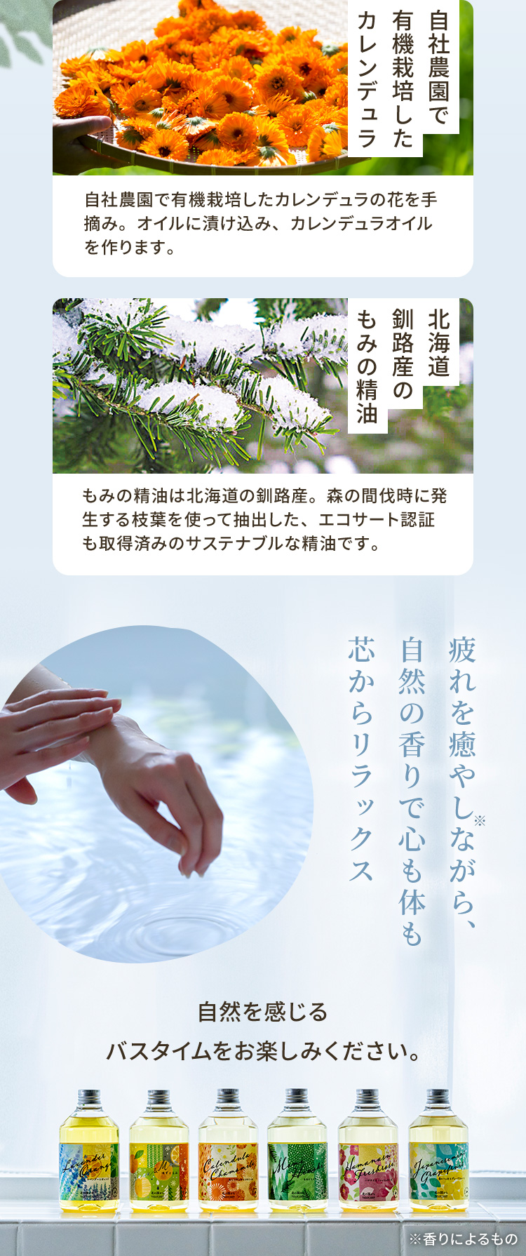 自社農園で有機栽培したカレンデュラ