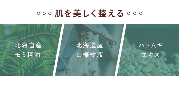 肌を美しく整える