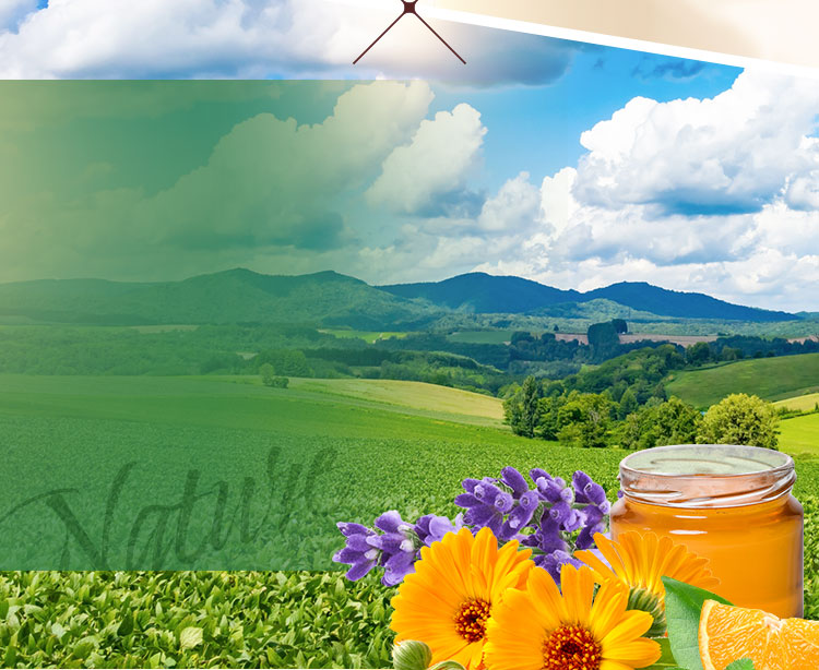 北海道で育まれた