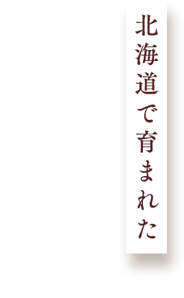 自然素材を使用