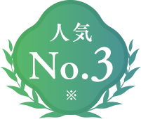 人気No.3
