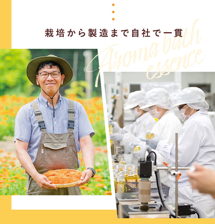 栽培から製造まで自社で一貫
