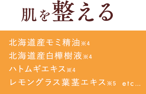 肌を整える