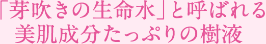 「芽吹きの生命水」と呼ばれる美肌成分たっぷりの樹液
