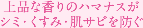 上品な香りのハマナスがシミ・くすみ・肌サビを防ぐ