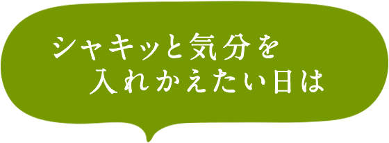 シャキッと気分を入れかえたい日は