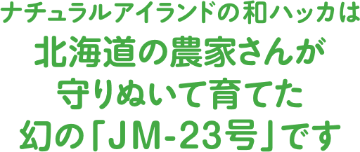 ナチュラルアイランドの和ハッカは北海道の農家さんが守りぬいて育てた幻の「JM-23号」です