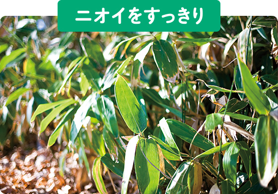ニオイをすっきり