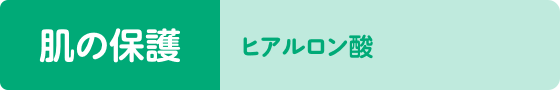 肌の保護ヒアルロン酸