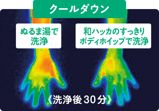 クールダウン