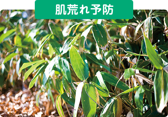 肌荒れ予防