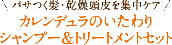 パサつく髪・乾燥頭皮を集中ケアカレンデュラのいたわりシャンプー&トリートメントセット