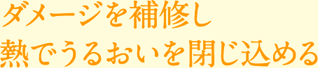 ダメージを補修し熱でうるおいを閉じ込める