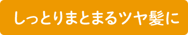 しっとりまとまるツヤ髪に