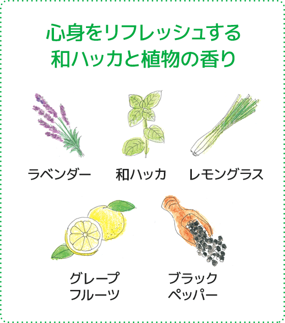心身をリフレッシュする和ハッカと植物の香り