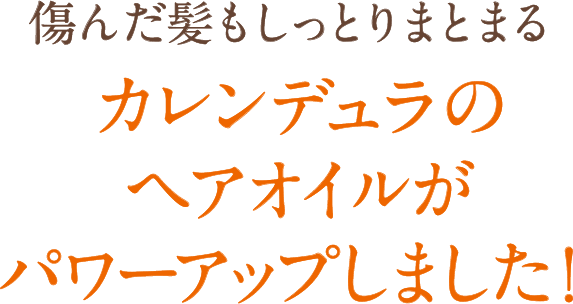 傷んだ髪もしっとりまとまるカレンデュラのヘアオイルがパワーアップしました！