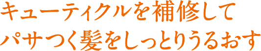 キューティクルを補修してパサつく髪をしっとりうるおす