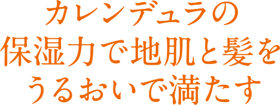カレンデュラの保湿力で地肌と髪をうるおいで満たす