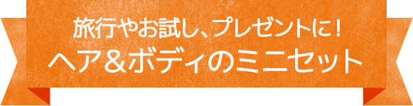 旅行やお試し、プレゼントい！ヘア＆ボディのミニセット