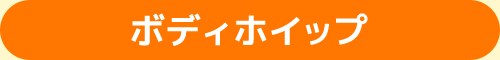 ボディホイップ