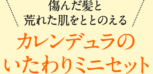 傷んだ髪と荒れた肌をととのえる　カレンデュラのいたわりミニセット