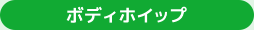 ボディホイップ