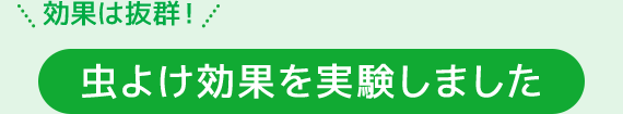 ボディホイップ