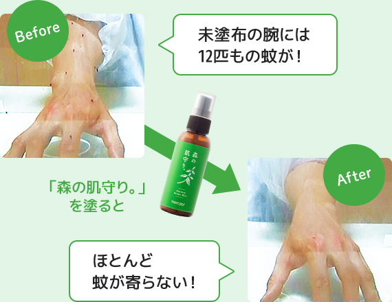初回購入限定セット｜ナチュラルアイランド