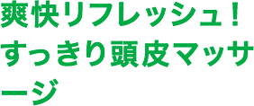 爽快リフレッシュ！すっきり頭皮マッサージ