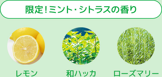 限定！ミント・シトラスの香り