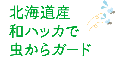 北海道産和ハッカで虫からガード