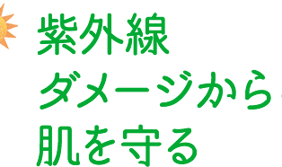 紫外線ダメージから肌を守る