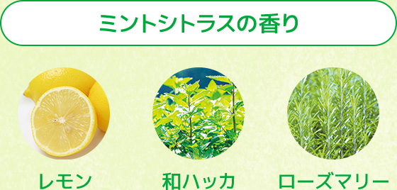 限定！ミント・シトラスの香り
