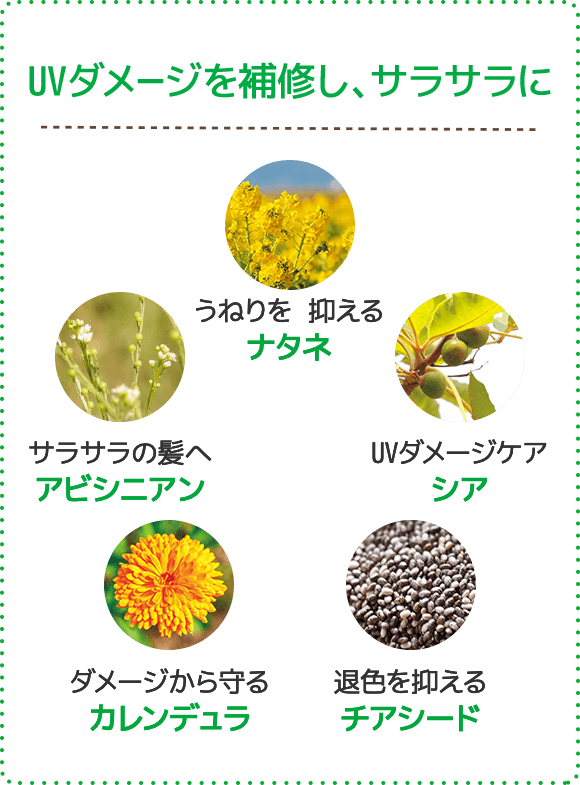 UVダメージを補修し、サラサラに
